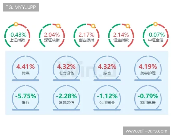 瓦力视讯是哪国的游戏受众群体分析及其在不同国家的用户反馈